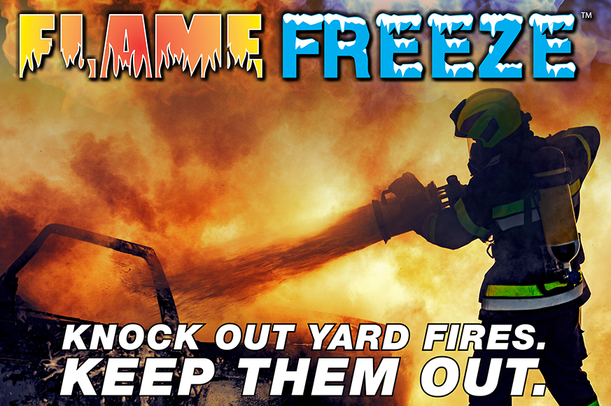 Flame Freeze